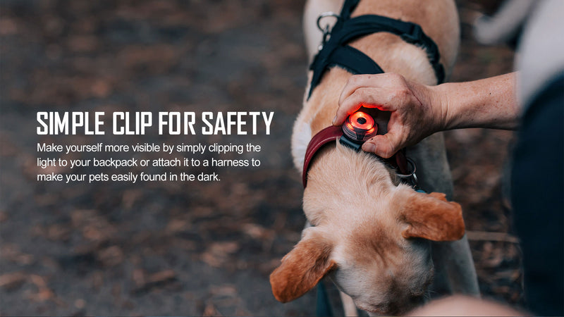 Olight Gober Black Safety Light (GOBERBK)