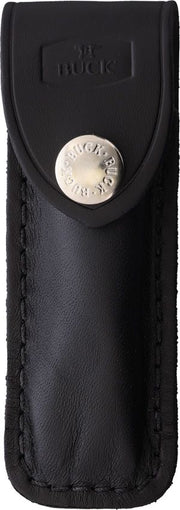 Buck Squire Lockback [2598]