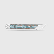 Kizer Cannoli Multicolored vortex pattern micarta (1.00" Satin AUS-10) Fixed Blade Knife [1089A1] - product view 4