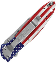 Kershaw Leek Linerlock A/O USA [1660USA]